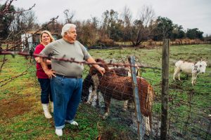 Los Isleños, descendientes de inmigrantes de las Islas Canarias en el sur de Estados Unidos. Rhonda Hannan y su padre Henry Rodriguez Junior en corral de burros que tienen en la parte trasera de su casa. Henry ejerció la política por el partído demócrata (burro).