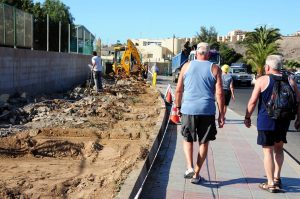 Obras poda plantación3