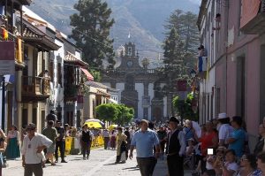 Teror-Fiestas-del-Pino