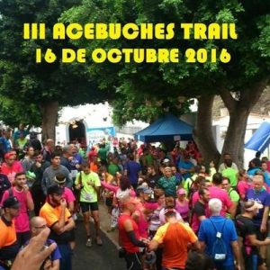 acebuches-trail-1