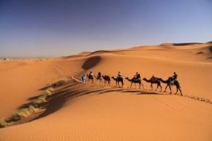 excursion-with-camels