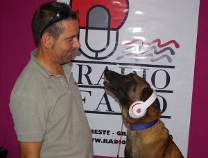 sergio-perro