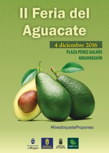 cartel-de-la-ii-feria-del-aguacate-de-mogan