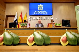 Las Palmas de Gran Canaria. 16/11/16. El consejero de Soberanía Alimentaria del Cabildo de Gran Canaria, Miguel Hidalgo, la alcaldesa de Mogán, Onalia Bueno, y el concejal de Desarrollo Local del Ayuntamiento sureño, Ernesto Hernández, presentaron hoy la II Feria del Aguacate de Mogán.