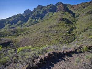 imagen-de-una-ruta-de-senderismo-desde-veneguera-a-la-cruz-de-mogan