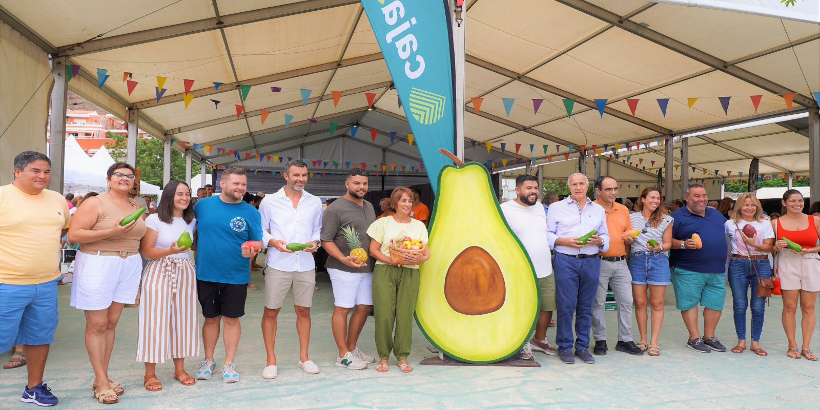 El verano sabe a mangos y aguacates de Mogán - Digital Faro Canarias