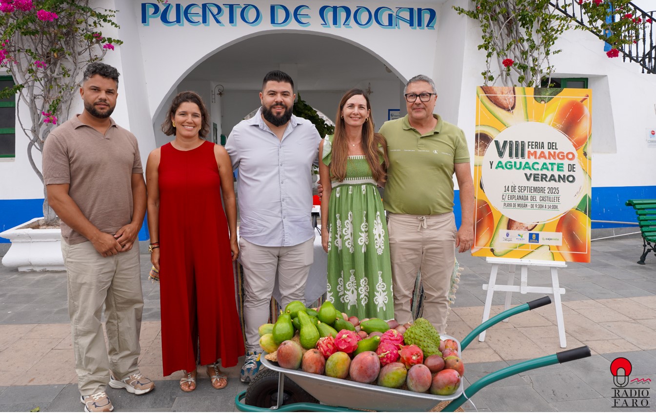 La VIII edición de la Feria contará con 4000 Kg de mango y 1000 Kg de  aguacate de verano - Digital Faro Canarias